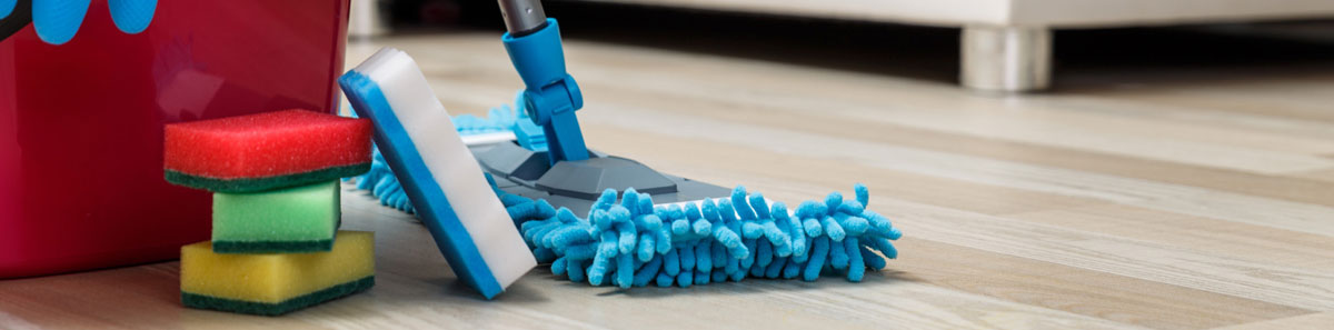 Cleaning East Devon